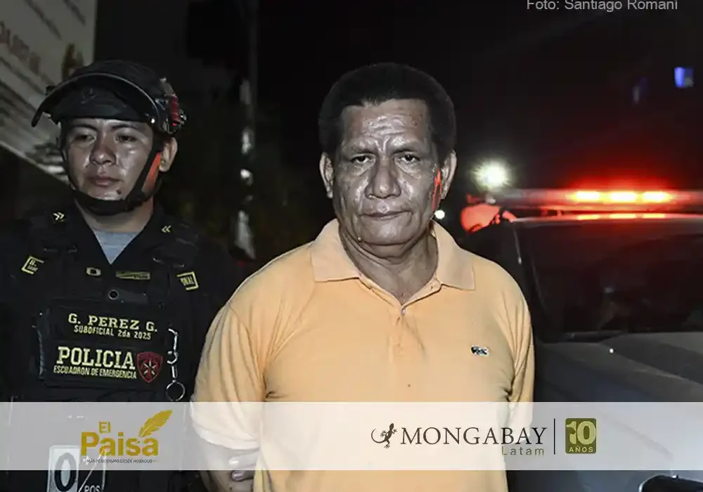 El empresario Hugo Soria Flores tras ser capturado por la Policía Nacional de Perú en Ucayali. Foto: cortesía Santiago Romaní