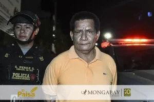 El empresario Hugo Soria Flores tras ser capturado por la Policía Nacional de Perú en Ucayali. Foto: cortesía Santiago Romaní