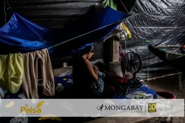 madre de dios mercurio - el paisa - elizabeth salazar