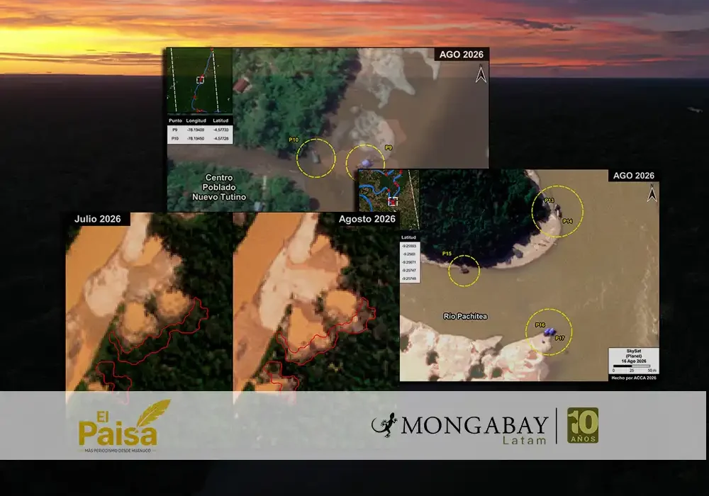 mineria ilegal mapas satelitales madre de dios tampopata huanuco amazonas - huánuco