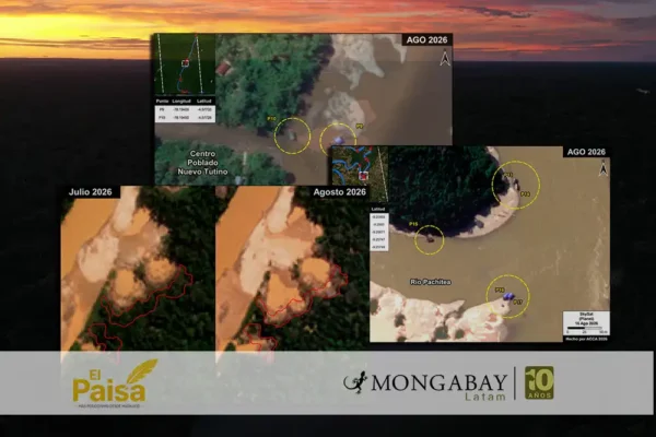 mineria ilegal mapas satelitales madre de dios tampopata huanuco amazonas - huánuco