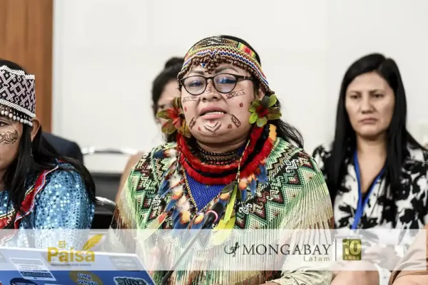 peru olivia bisa deibilidad protección líderes indígenas - el paisa
